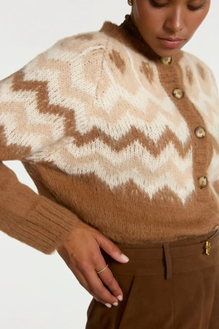 Aaiko Dina vest